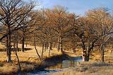 Drying Up Creek_44728